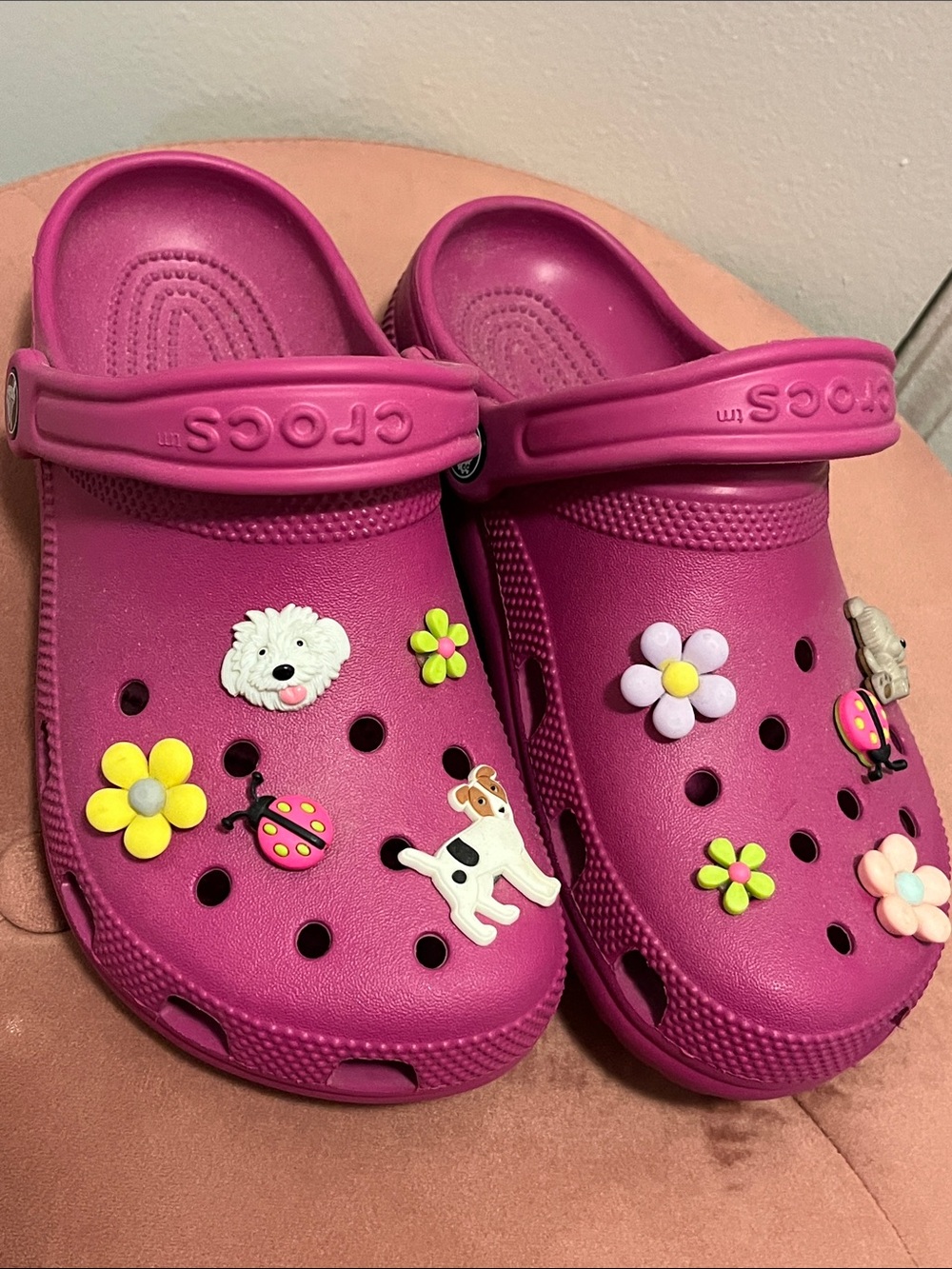 CROCS with charms